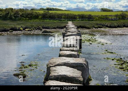 The Rhuddgaer or Giant's Stepping Stones cross the River Braint near Newborough on the Isle of Anglesey, Wales. They are large limestone blocks. Stock Photo