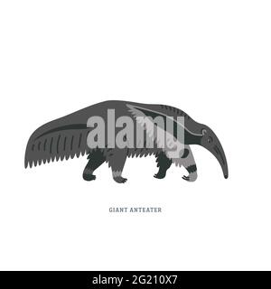 Giant Anteater. Illustration of giant anteater or Myrmecophaga tridactyla, also known as the american ant bear. Simple Colorful vector illustration in Stock Vector