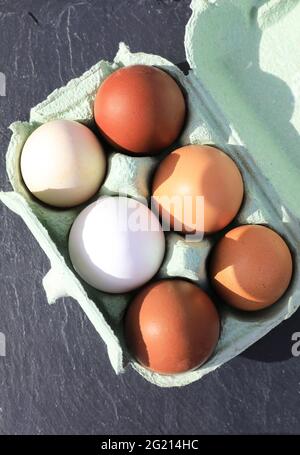 Free range eggs in a box, UK Stock Photo