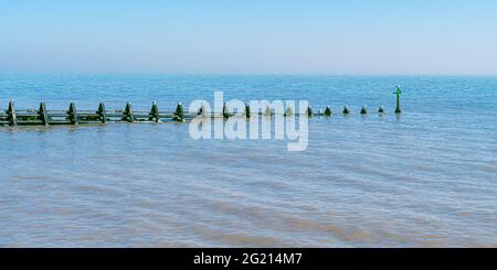 Sea Groynes tidal barrier in Essex outton North Sea with seagulls on each post panoramic image for natural background Stock Photo