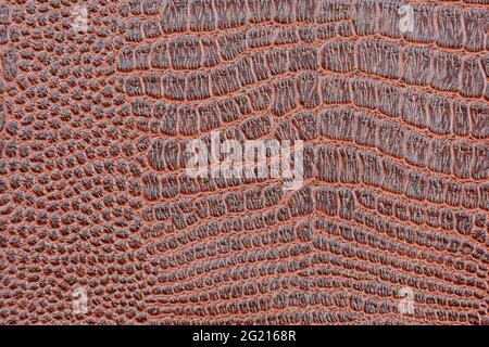 Brown Briefcase with crocodile dressed textured material. Suitcase Stock  Photo - Alamy