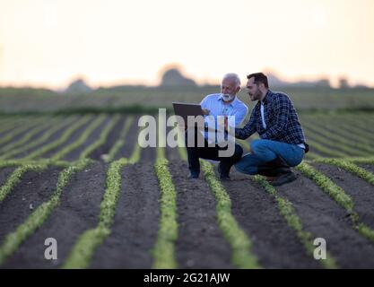 Two men crouching in soy field using computer. Farmer and businessman looking at sprout, pointing explaining using modern technology computer in agric Stock Photo
