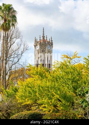 AUCKLAND, NEW ZEALAND - Jun 01, 2021: View of Auckland University Clock Tower Old Arts building Stock Photo