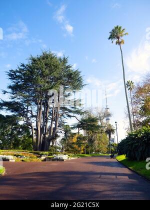 AUCKLAND, NEW ZEALAND - Jun 01, 2021: View of Albert Park near Auckland University. Auckland, New Zealand - June 1, 2021 Stock Photo