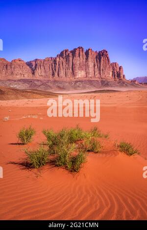 Wadi Rum, Jordan. Valley of the Moon and El Qattar mountain, Arabia Desert. Asia travel background. Stock Photo