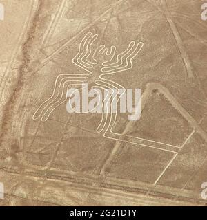 Spider geoglyph, Nazca mysterious lines and geoglyphs aerial view, landmark in Peru Stock Photo