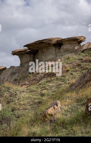 Dinosaur Provincial Park in Alberta, Canada, a UNESCO World Heritage Site noted for its striking badland topography and abundance of dinosaur fossils, Stock Photo