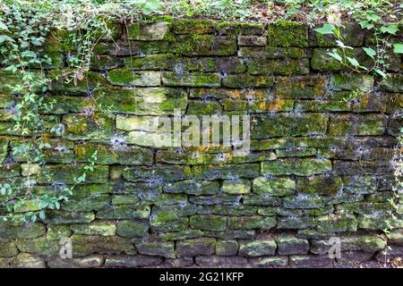 A moss covered stone wall in Ohio, USA. Stock Photo