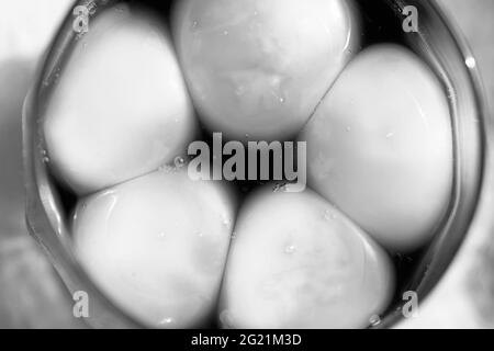 Bright egg yolks in a Japanese marinade in a glass. Black and white photo. Stock Photo