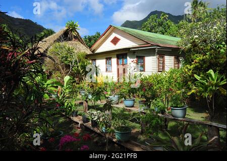 FRENCH POLYNESIA. MARQUESAS ISLANDS. ISLAND OF NUKU HIVA. THE BAY AND THE VILLAGE OF HATIHEU ARE AMONG THE MOST BEAUTIFULS OF THE ARCHIPELAGO. THE CHU Stock Photo