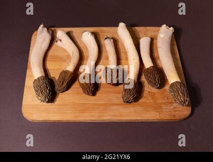 Spring wild morel mushrooms or Morchella conica. They are loaded with all kinds of vitamins and minerals, high in antioxidants, low in calories, and