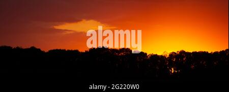 Gradient red orange sky at sunset behind a dense forest of trees. Blur background of cloudy sky in the evening Stock Photo