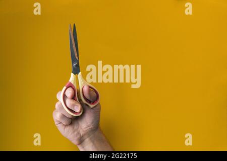 Close-up of palm holding vertically up steel scissors with yellow handles on yellow background. Paper cutting tool or ready for creative work. Tailor Stock Photo