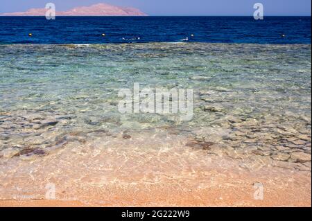 Beautiful blue wave with sea foam on sandy beach. Beautiful Beach Ocean Scene with Blue Wave on Seashore with Reflection of Sun Rays on the Water. Tra Stock Photo