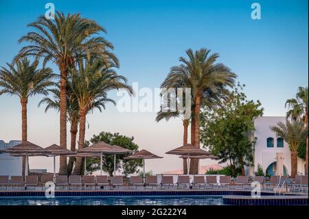 relaxing by the pool in a luxurious beachfront hotel resort at sunset enjoying perfect beach holiday vacation. Resort with palm and pool. Tropical swi Stock Photo