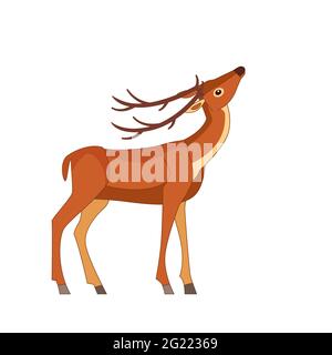 Cute deer with horns. Wildlife of forest mammals stands and grazes. Cartoon flat style drawing vector illustration isolated on white background Stock Vector