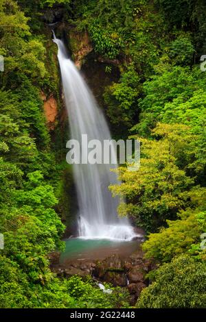 Panama waterfall landscape at Chorro Tavida surrounded by lush ...