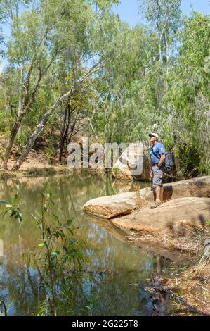 A lone male hiker enjoying the picturesque scene of Cobbold Creek gorge in outback Queensland, Australia. Stock Photo