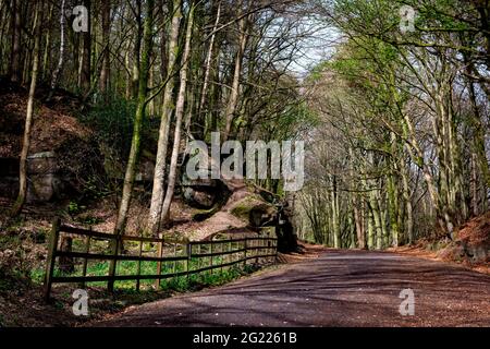 Sheep pasture incline, Derbyshire peak district, England, UK Stock Photo