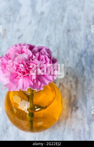 Pink artificial flower in brown round bottle on marble floor. Stock Photo