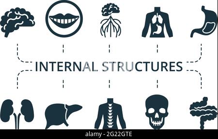 Inner Organs icon set. Contains editable icons internal organs theme ...