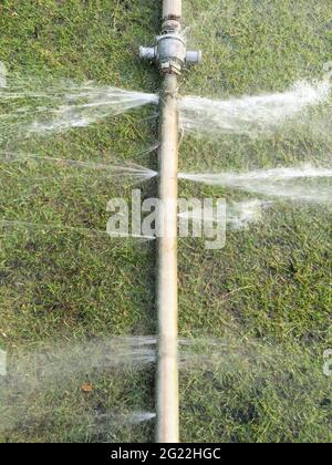 Wasting water in the garden, water leaking from a garden hose spigot