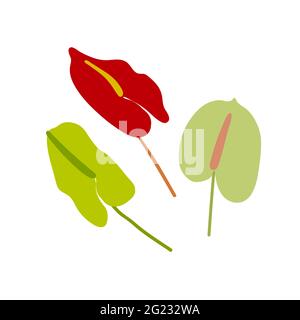 Flat set flowers. Green, red flowers isolated on white background. Hand-drawn minimalistic plants. Stylized anthurium, calla. Trend plants elements. S Stock Vector