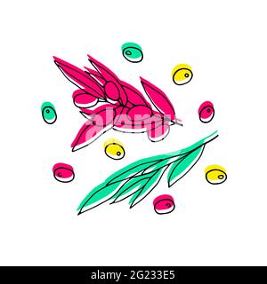 Colored olives Set. Outline olive branches isolated on white background. Hand drawn berries and olive leaves with neon fill. Vector stock illustration Stock Vector