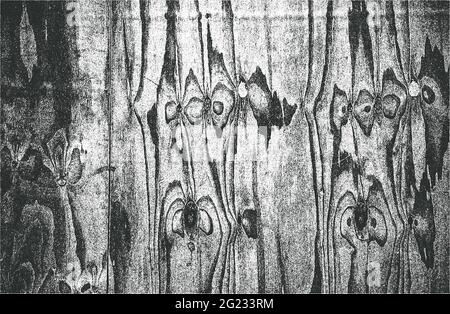 Distressed overlay wooden plank texture, grunge background. abstract halftone vector illustration Stock Vector