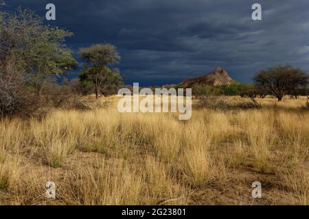 Rain clouds above Omaruru peak near Omaruru, farmland in rainy season ...