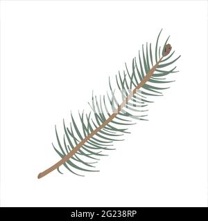 Fir tree branch with pine cone, hand drawn vector illustration, modern colored clipart of christmas tree isolated on white background Stock Vector