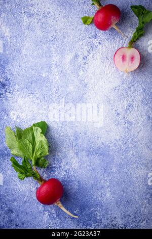Radish on blue concrete backgrounds Stock Photo
