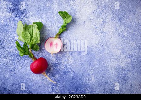 Radish on blue concrete backgrounds Stock Photo