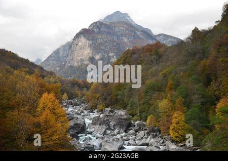 Swiss Alps Valley with stone river colorful trees and leaves, background mountain, Ticino Valle Maggia, Maggiatal Stock Photo