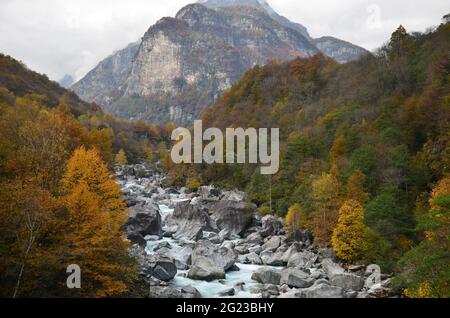 Swiss Alps Valley with stone river colorful trees and leaves, background mountain, Ticino Valle Maggia, Maggiatal Stock Photo