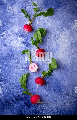 Radish on blue concrete backgrounds Stock Photo