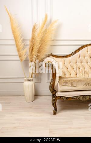 Stylish Scandinavian living room interior of a modern apartment with pampas grass and a cozy sofa in light colors. A piece of beige classical sofa and Stock Photo