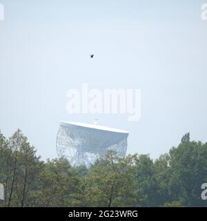 View of the Lovell Telescope from the front Lawn of Capesthorn Hall Stock Photo