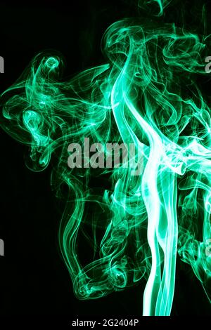 Dandelion seeds blowing in the wind Stock Photo