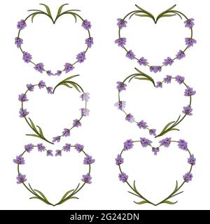 Set of vector heart of flowers of lavender. Isolated objects on white. Stock Vector