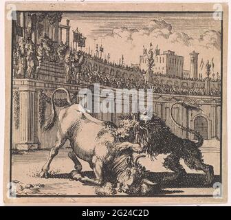 Battle between a bull and a lion in an amphitheater in Jerusalem. Stock Photo