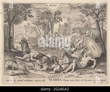 Creation of Adam and Eve; Creation of the world. In the middle of the animals, Adam and Eva are created by God the Father in the form of a tetragram. On the right in the foreground, God bends over Adam; On the left, EVA is created from Adam's RIB. In the middle two lions, a unicorn and other animals. In the middle in the background, God gives EVA to Adam. On the sixth day of creation, God created the animals of the country and Adam and Eva. The print has a Latin caption. Stock Photo