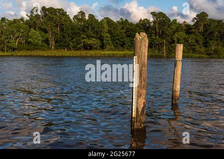 A scale attached to a post helps track the water level at the Weeks Bay National Estuarine Research Reserve near Fairhope, Alabama, on June 7, 2021. Stock Photo