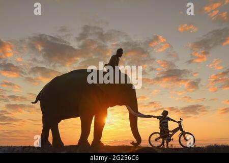 Silhouette of a mahout riding an elephant at sunset and a boy on a bicycle, Thailand Stock Photo