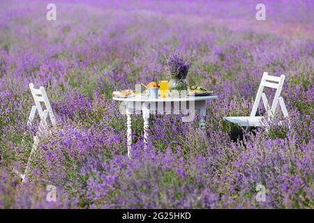 White table served with food, drinks for two and vase with lavender bouquet outdoors. Amazing decoration with two wooden chairs in blooming lavender field. Concept of nature, cuisine. Stock Photo