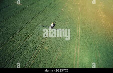 Fertilizing green fields in bright sunny day perspective drone view Stock Photo