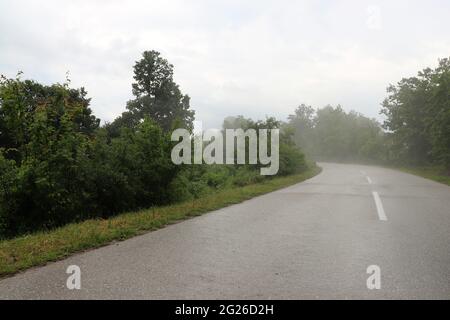 Country lane in late spring and fog Stock Photo