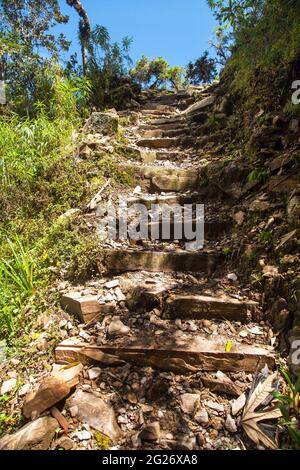 Choquequirao trekking inca trail, pathway from Coquequirao to Machu Picchu in Peru, Andes mountains Stock Photo