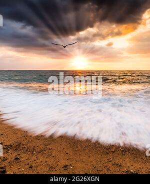 A Single Bird Is Flying Towards The Ocean Sunset Sky With Sun Rays Emanating Through The Clouds In Vertical Image Format Stock Photo