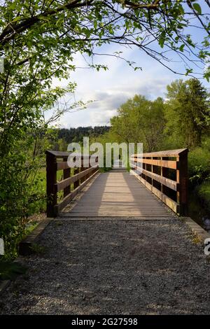 Shoreline Trail, Port Moody, Greater Vancouver, British Columbia, Canada Stock Photo